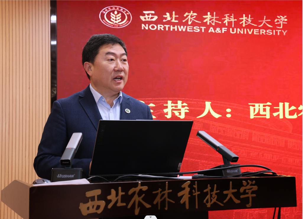 QQ截图20231113082544.png