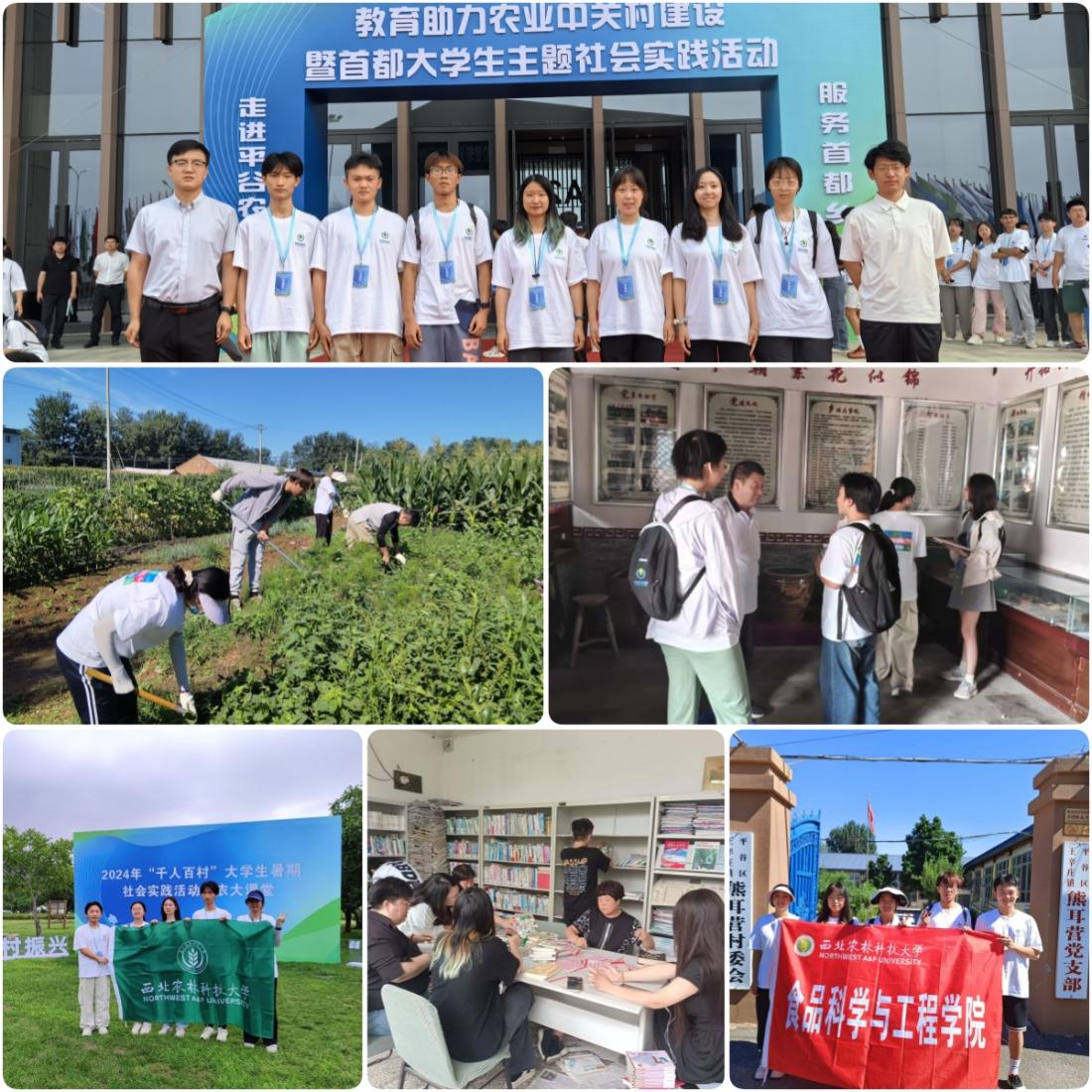 员工团队赴北京平谷区开展专项实践活动剪影.jpg