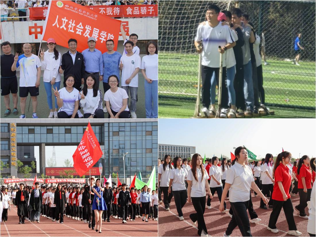比赛现场1.jpg