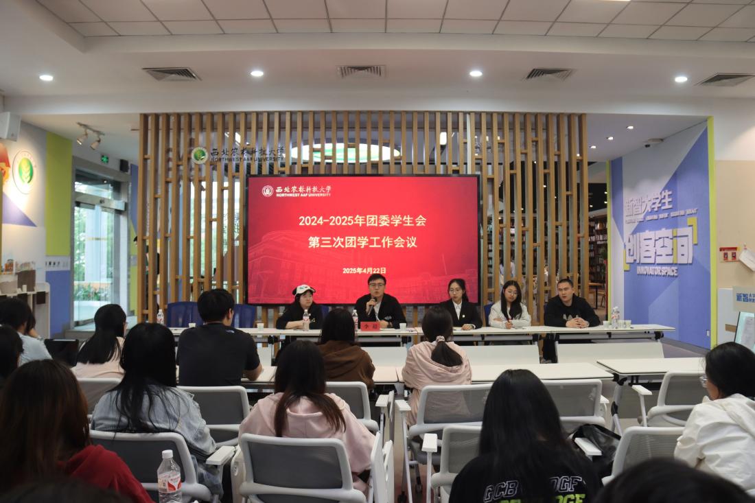 图片1.JPG