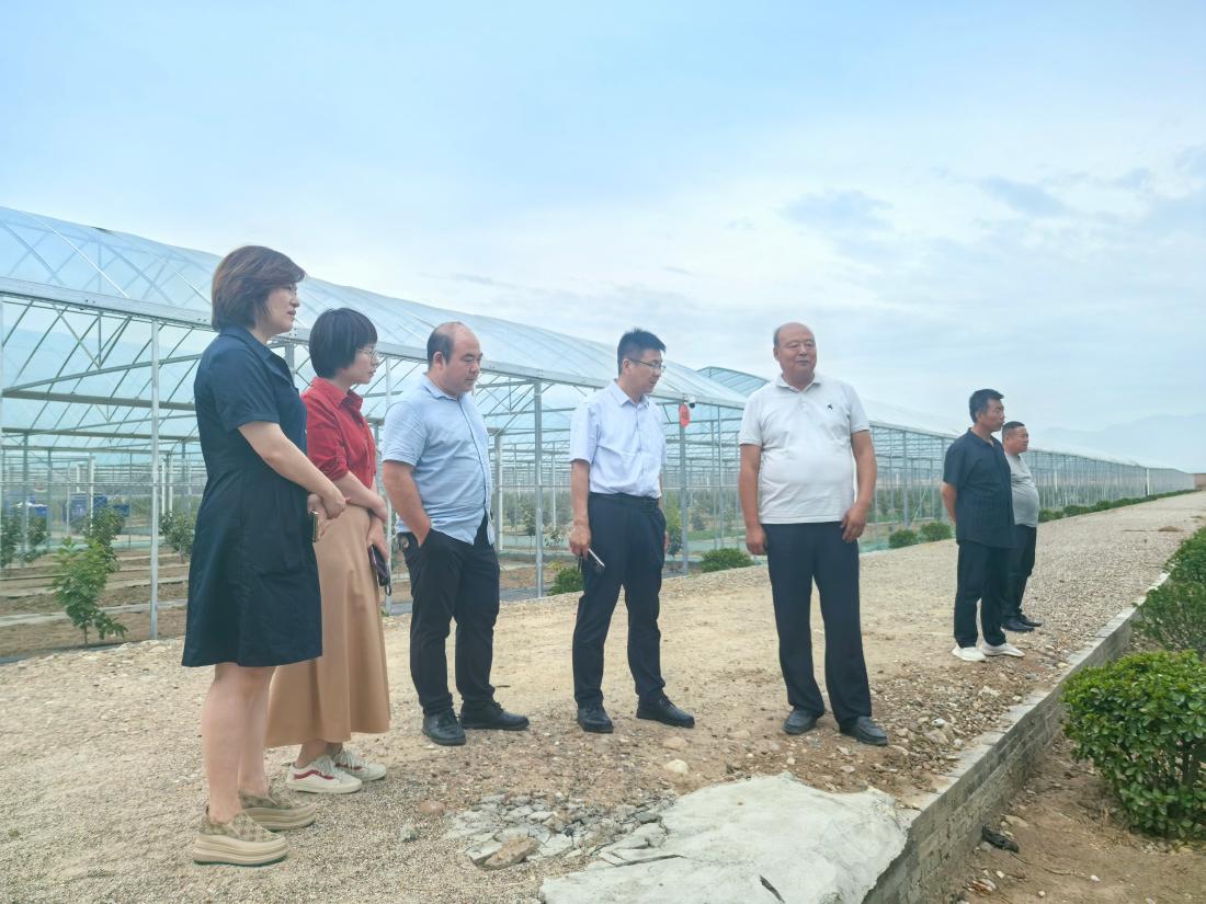 参观姜嫄村太秋甜柿生产基地.jpg