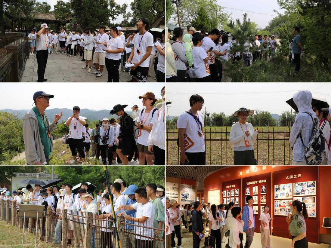1.主题实践教学.jpg