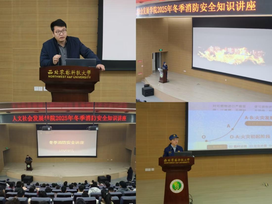 讲座照片.jpg