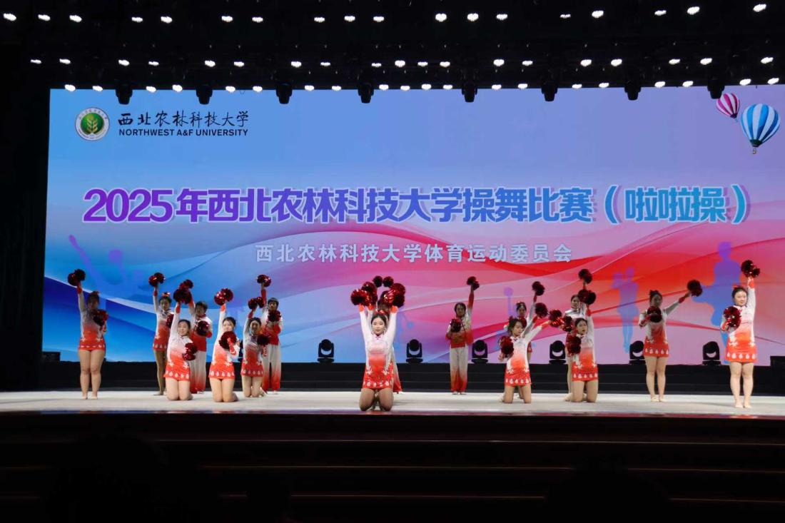 表演.jpg