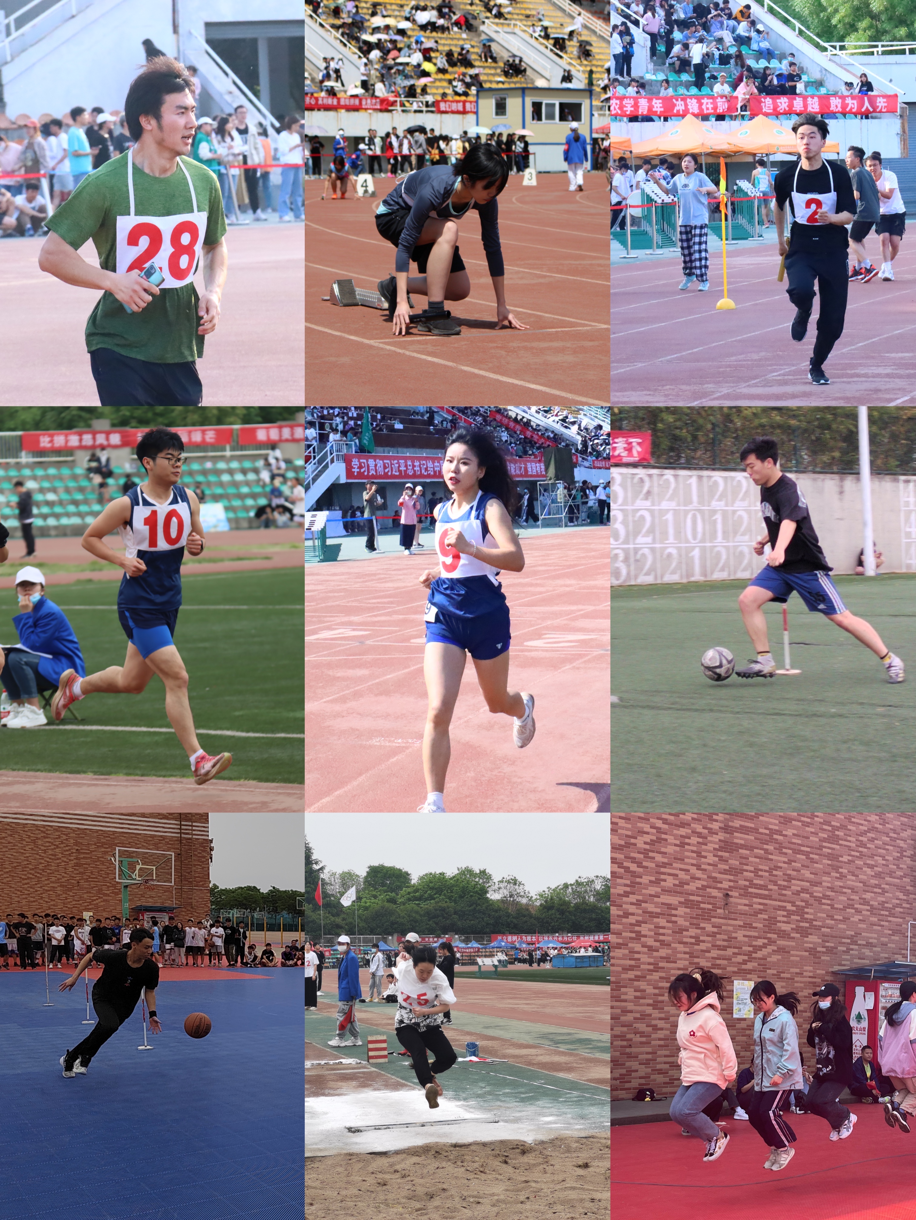e783edddef4148f0bff2d71d57faa04a.jpg
